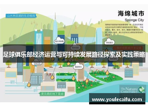 足球俱乐部经济运营与可持续发展路径探索及实践策略