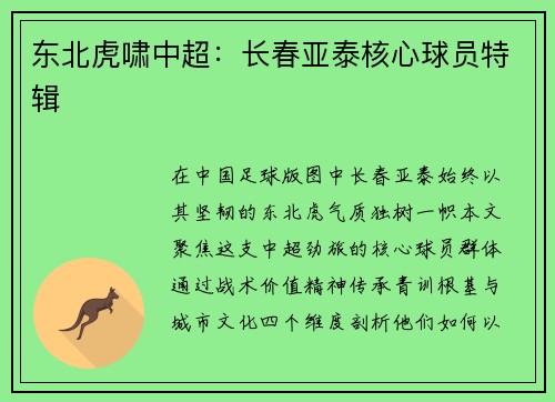 东北虎啸中超：长春亚泰核心球员特辑