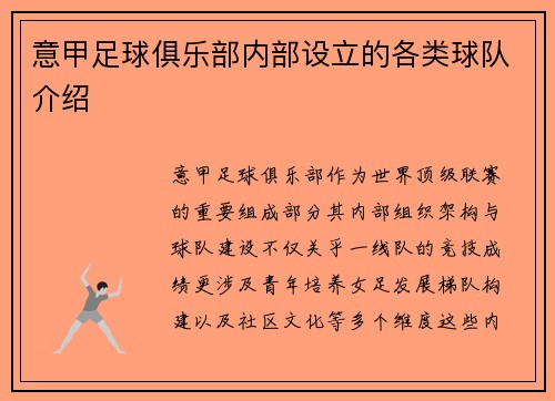 意甲足球俱乐部内部设立的各类球队介绍